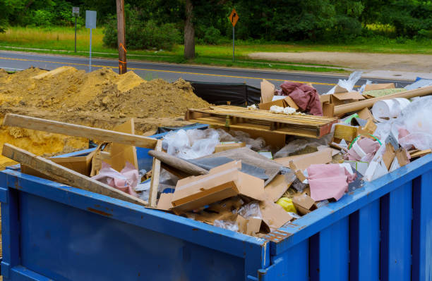 Best Demolition Debris Removal  in Detroit Beach, MI